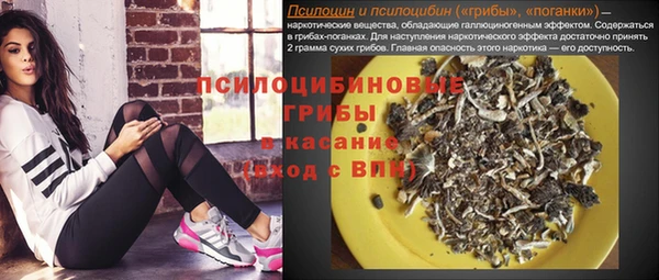 бошки Алексин