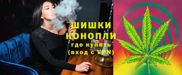 бошки Алексин