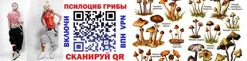 Галлюциногенные грибы MAGIC MUSHROOMS  мориарти официальный сайт  Артёмовск  mega зеркало 