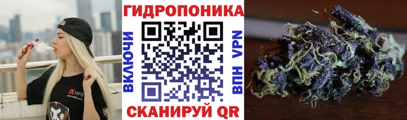 Конопля Ganja  Артёмовск 